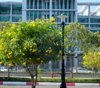 Trụ đèn chiếu sáng 09